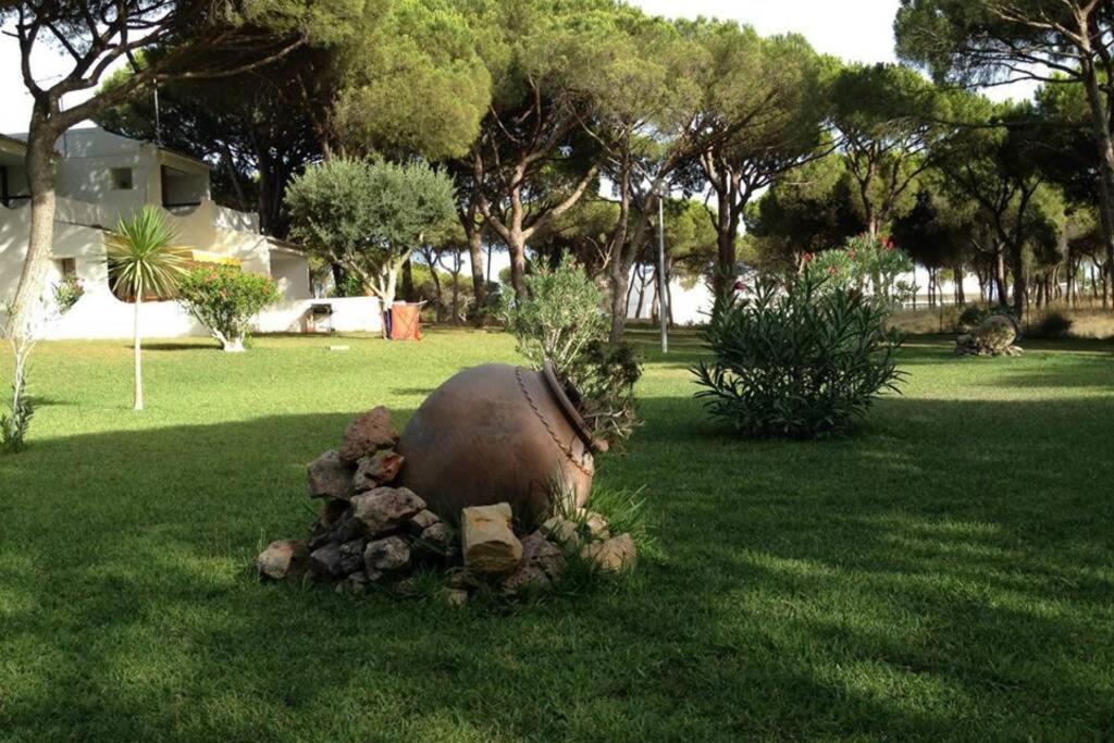 Buganvília Apartment Praia da Falésia Albufeira Bagian luar foto